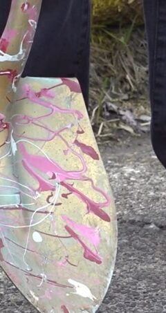 Screenshot 17 12 2025 92444 www wqad com